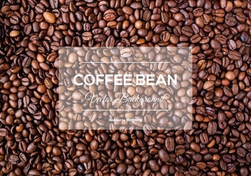 Coffee Bean Background Texture - Kostenloses vector #374229
